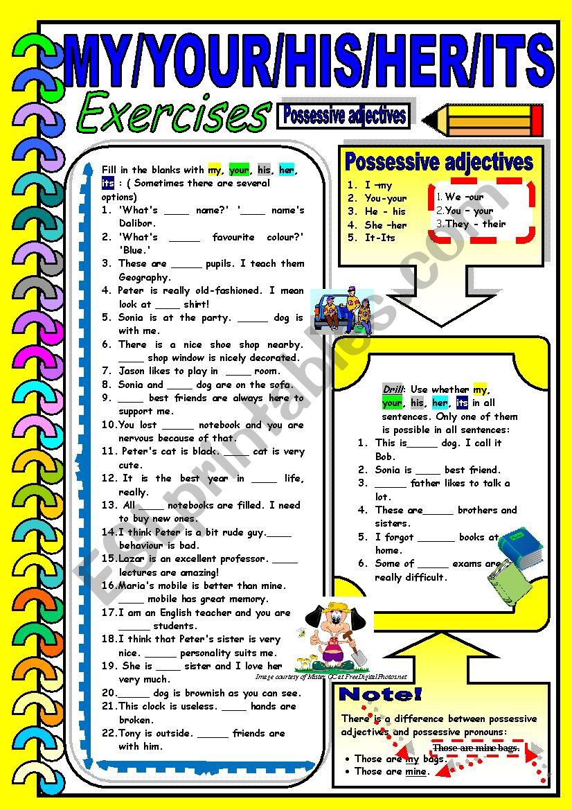 Possessive adjectives exercises