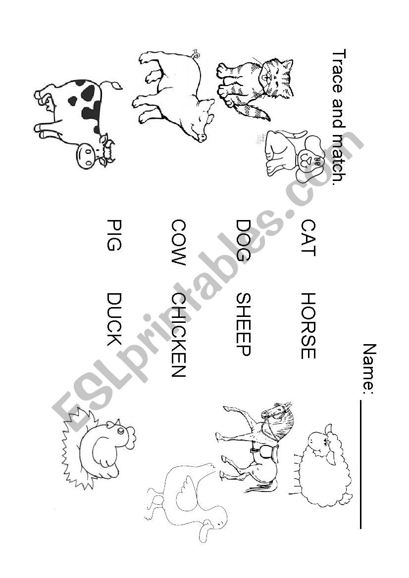 Farm animals worksheet worksheet