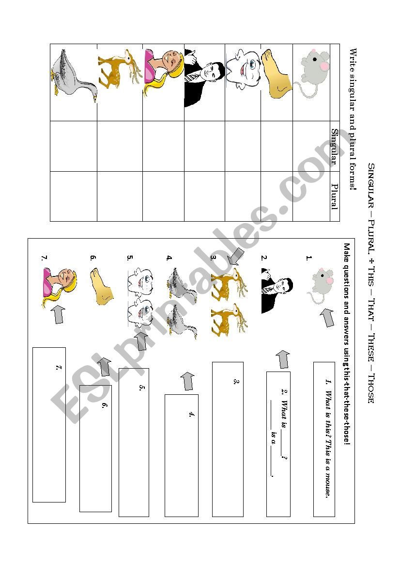 IRREGULAR PLURAL worksheet