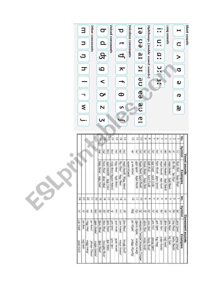 phonetic symbols worksheet