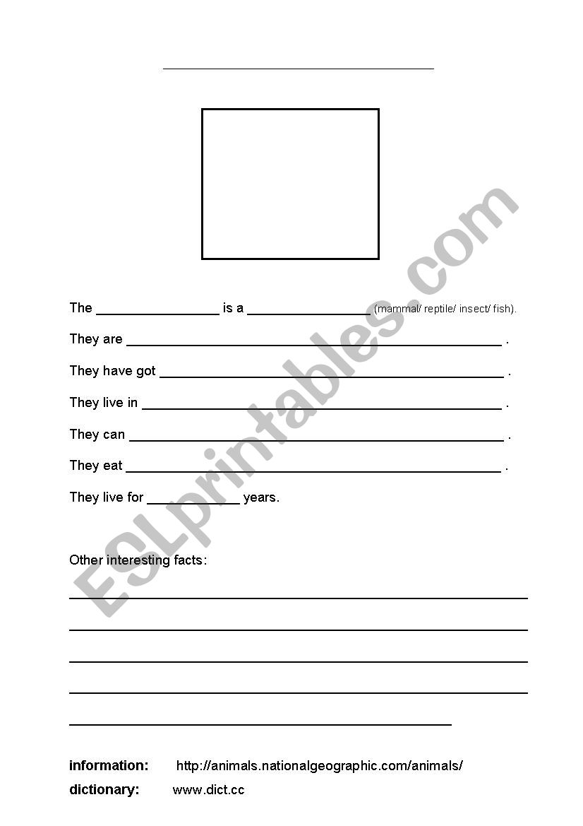 animal research worksheet