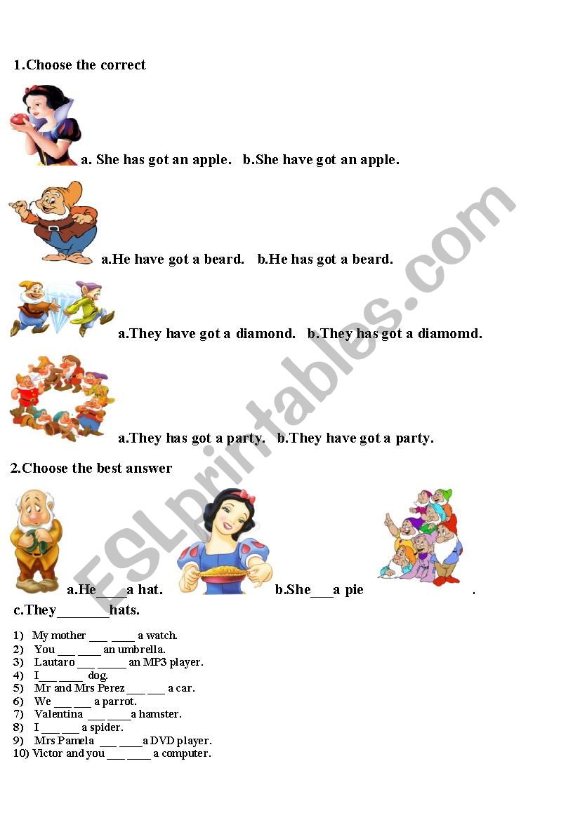 have got has got worksheet