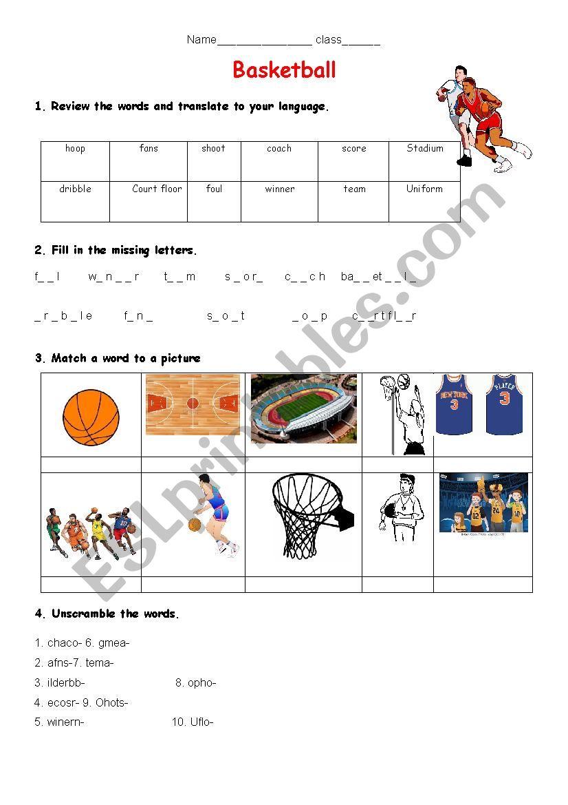 basketball player worksheet