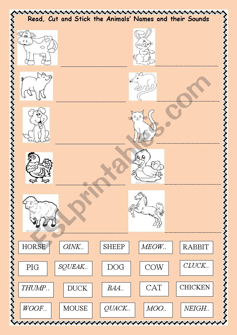 Animal sounds worksheet