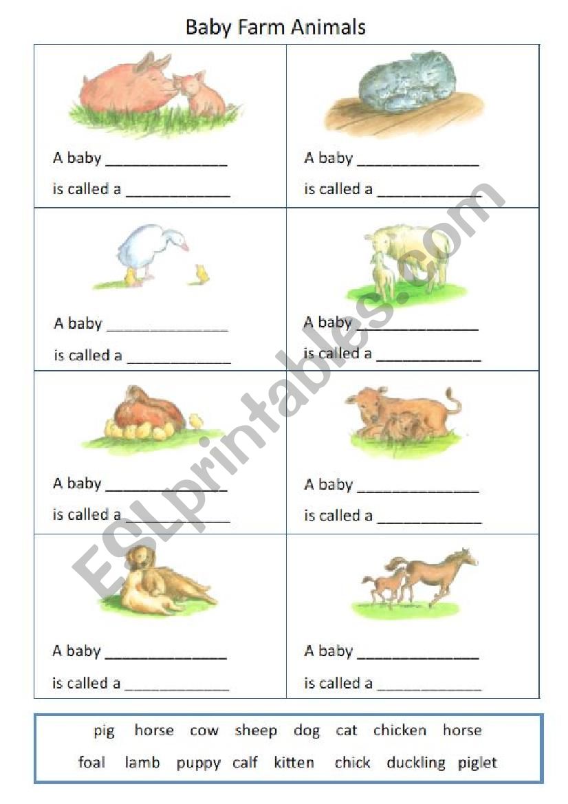 Baby Farm Animals worksheet