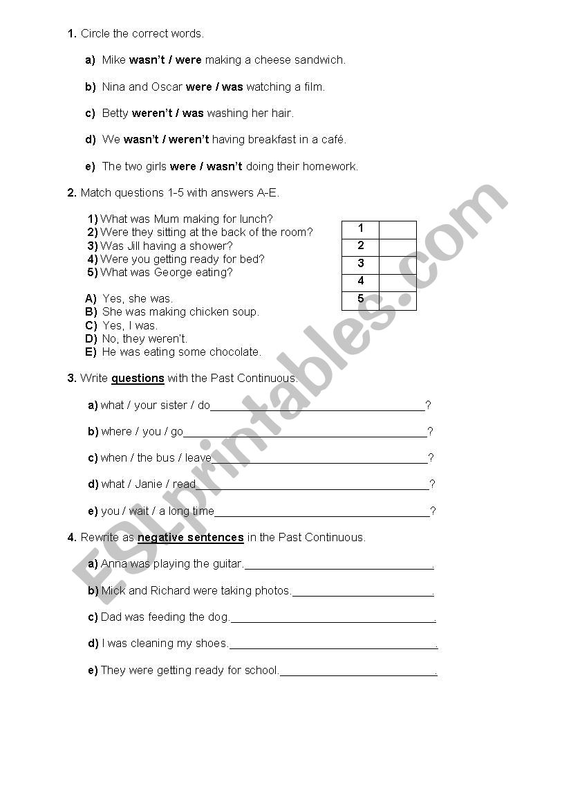 Past Continuous worksheet