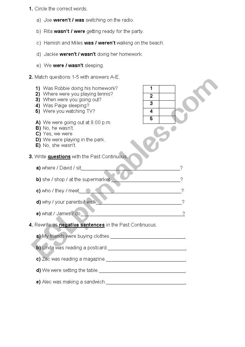 Past Continuous 2 worksheet