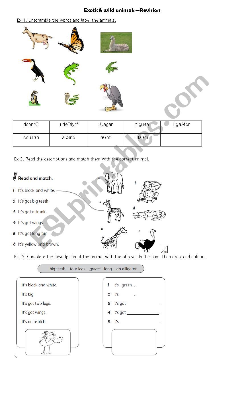 Wild Animals worksheet