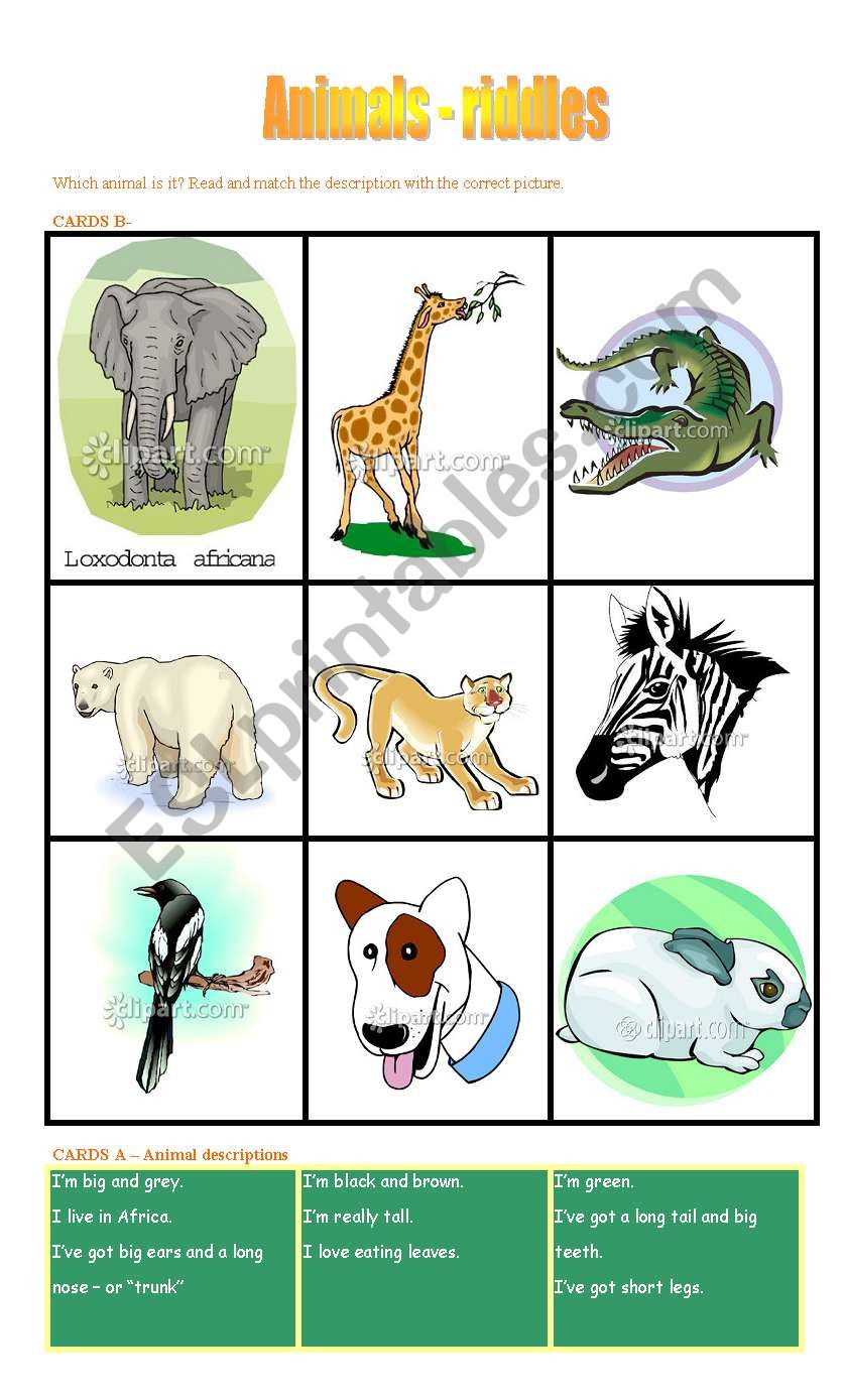 ANIMALS - riddles worksheet
