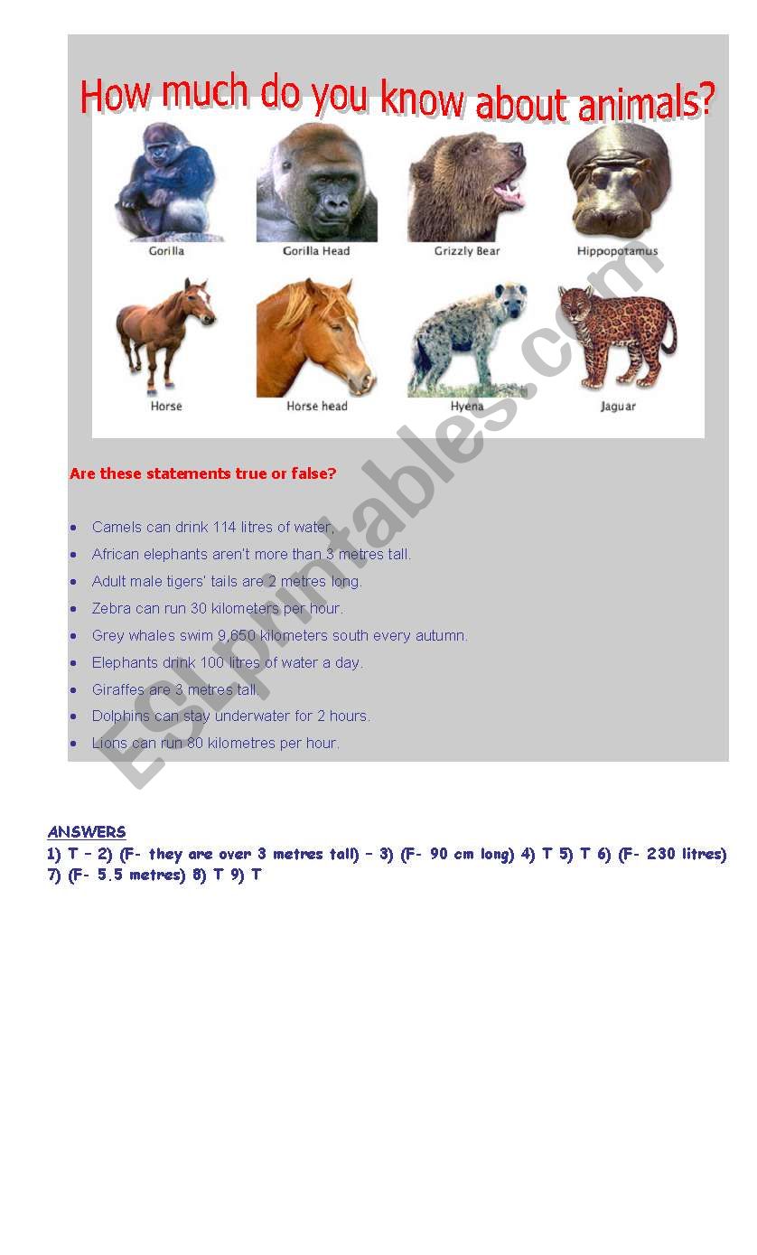 Quizz about animals worksheet