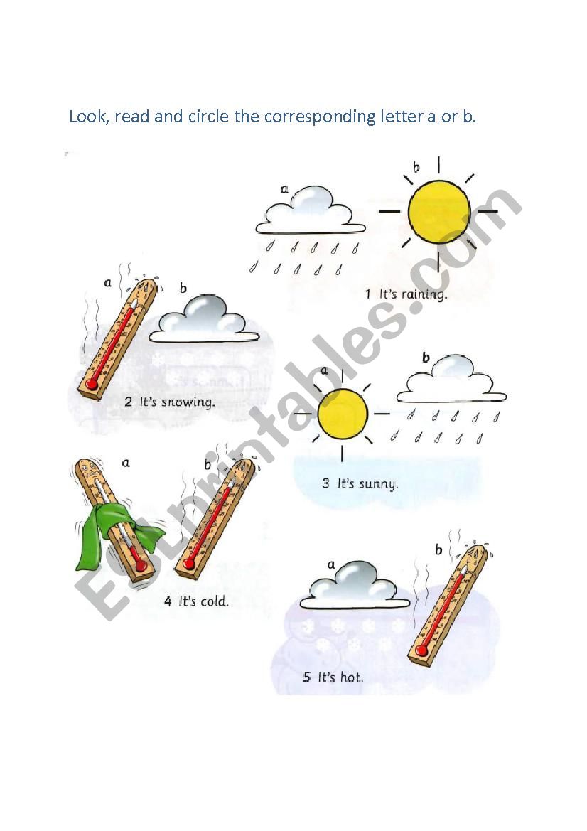 Weather worksheet