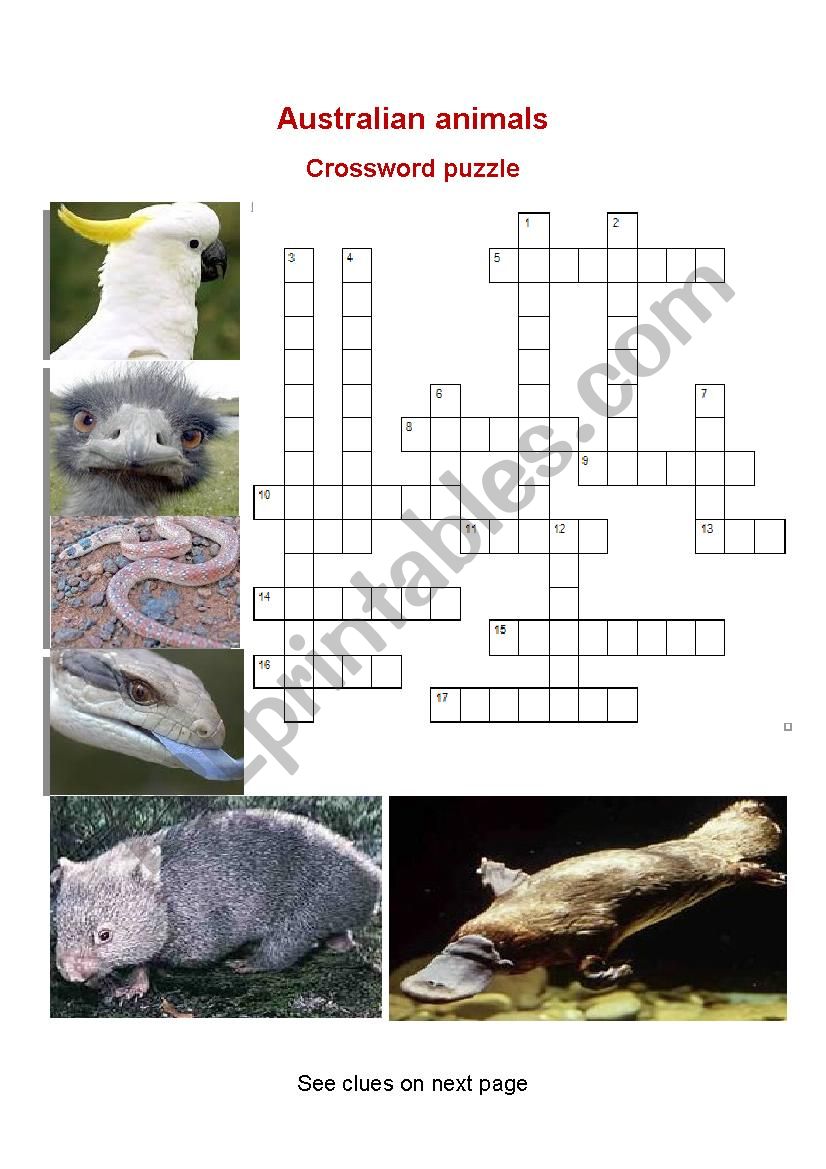 Australian animals  (1)  Crosswords puzzle
