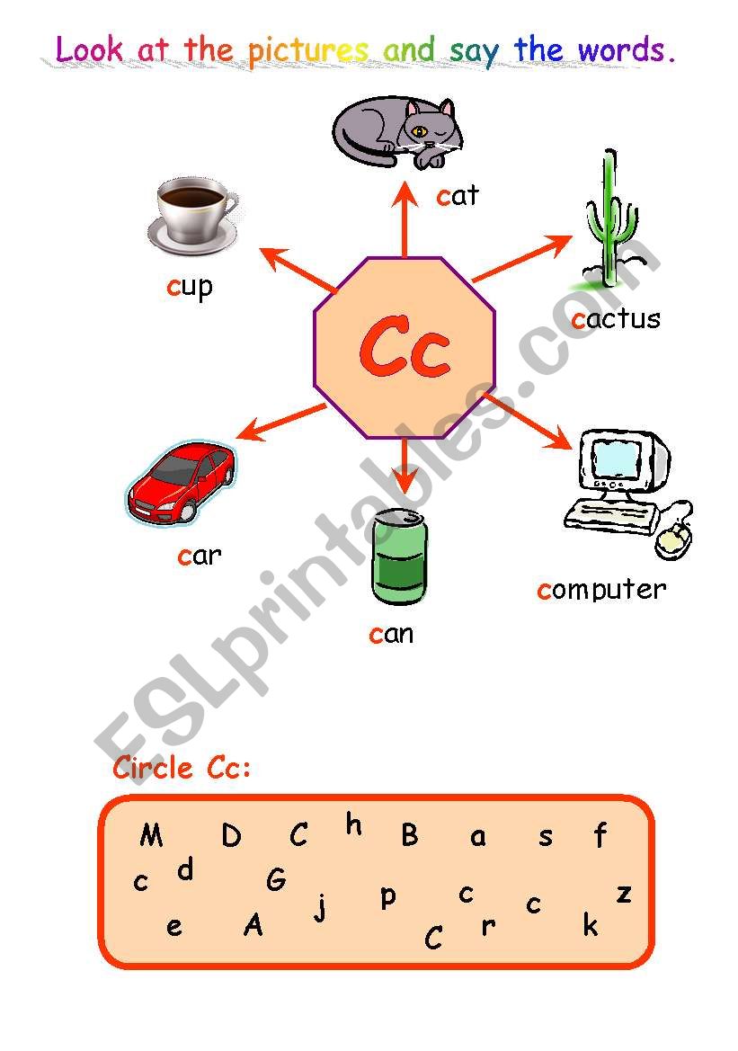 Memory card c worksheet