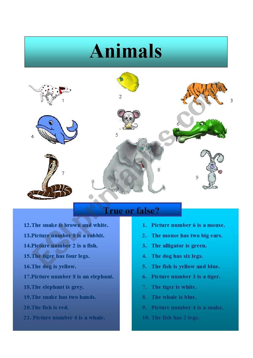 Animals - True or False? worksheet