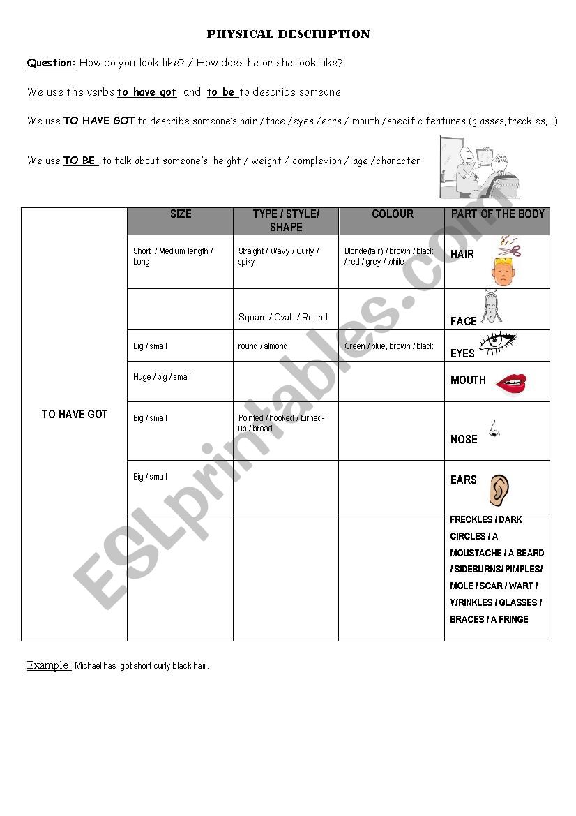 physical description worksheet