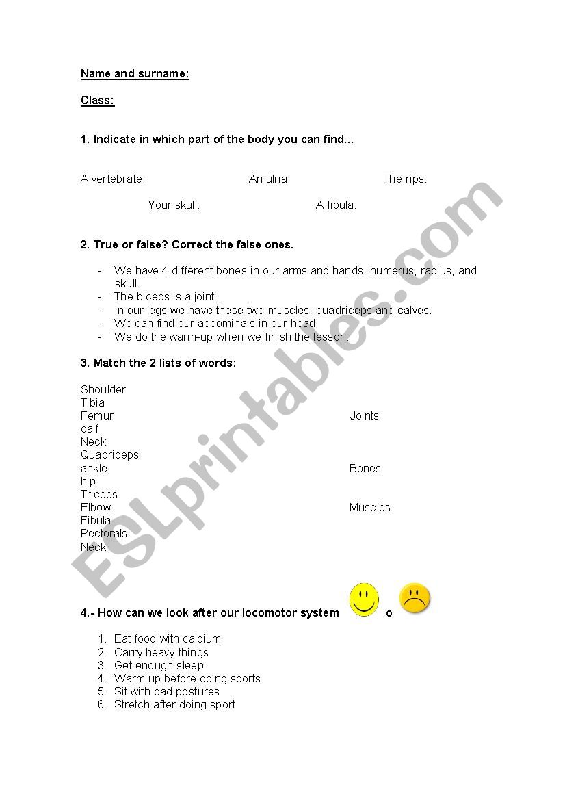 Locomotor System worksheet