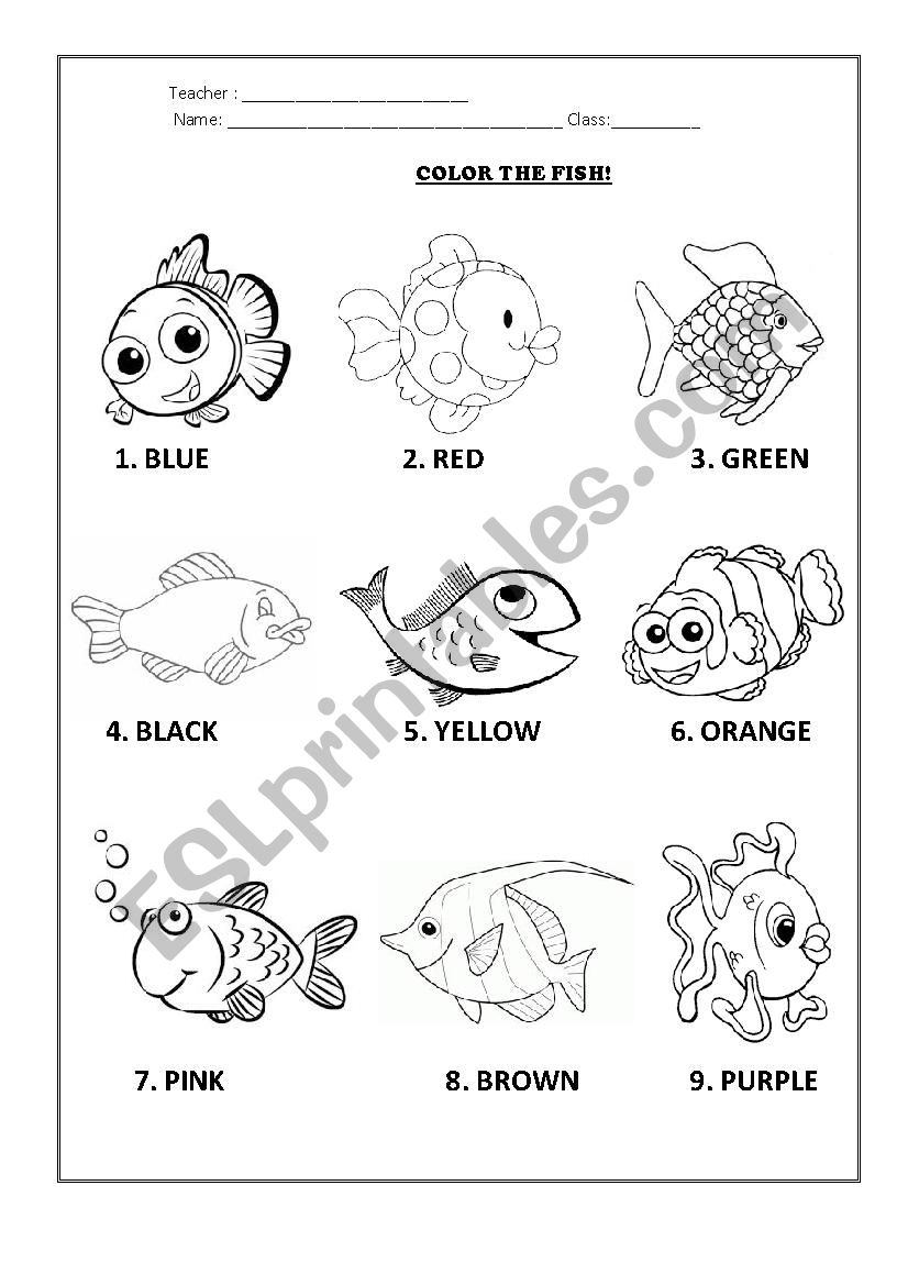 COLOR THE FISH!!! worksheet