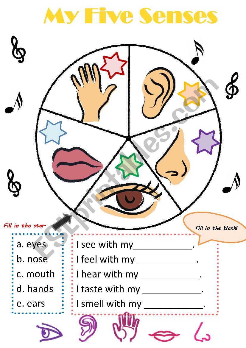 My five senses worksheet