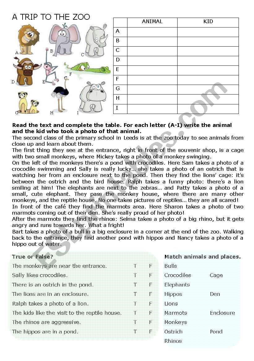 A Trip To the Zoo worksheet
