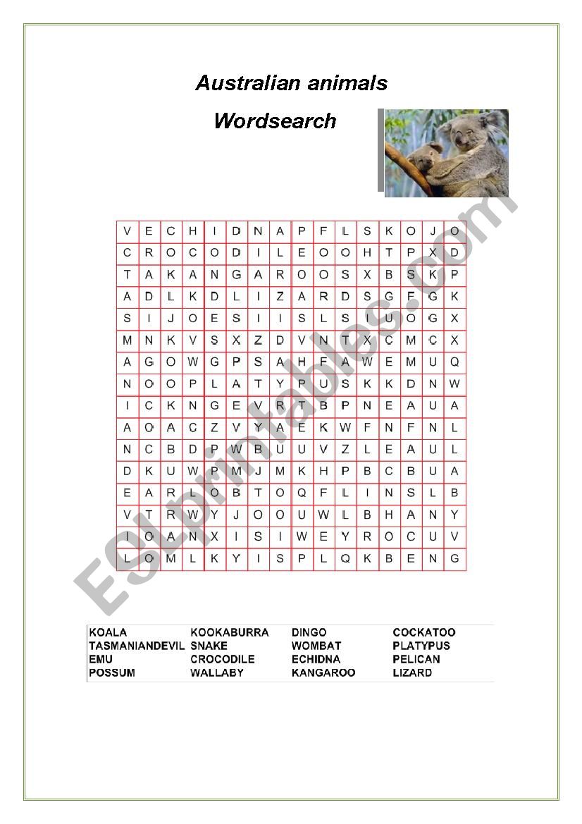 Australian animals (2) Wordsearch