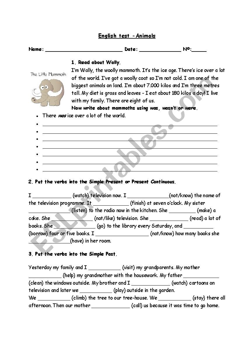 English test worksheet