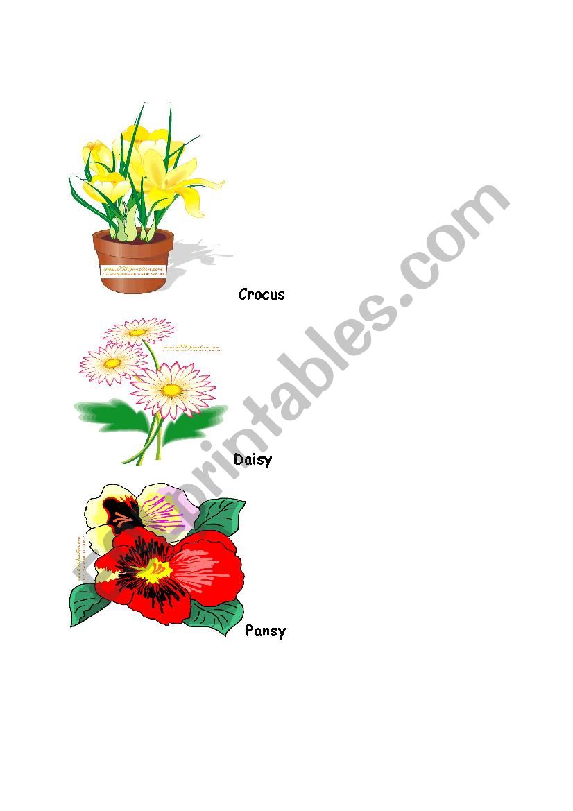 Flower/herb treasure Hunt worksheet