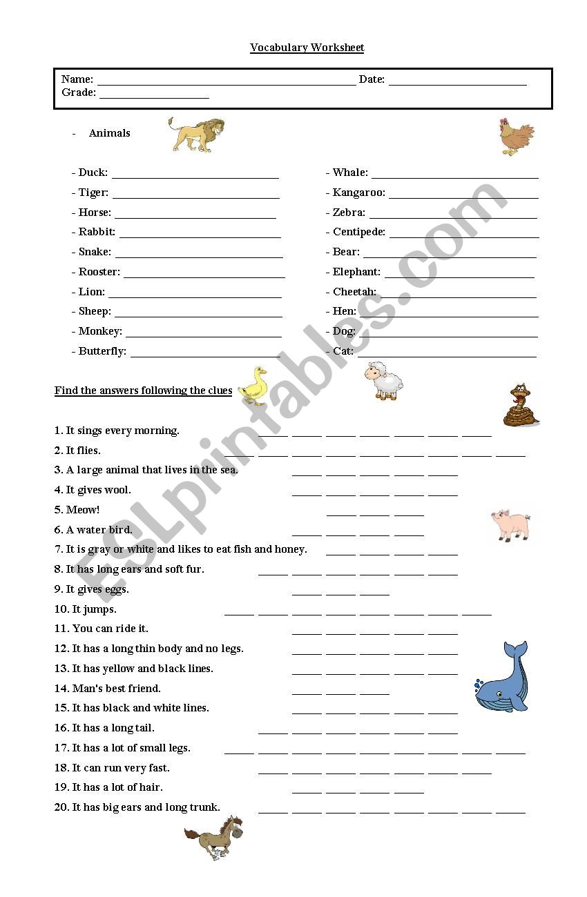 Animals  worksheet