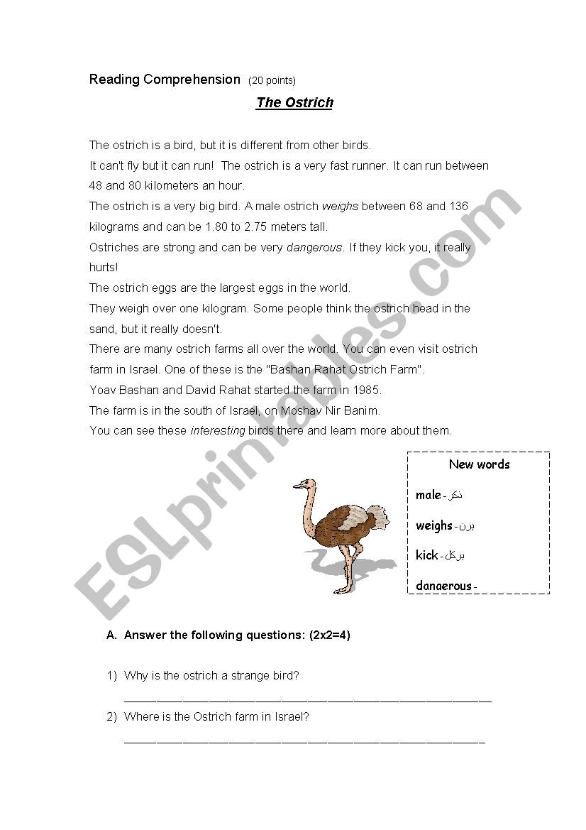 The Ostrich worksheet