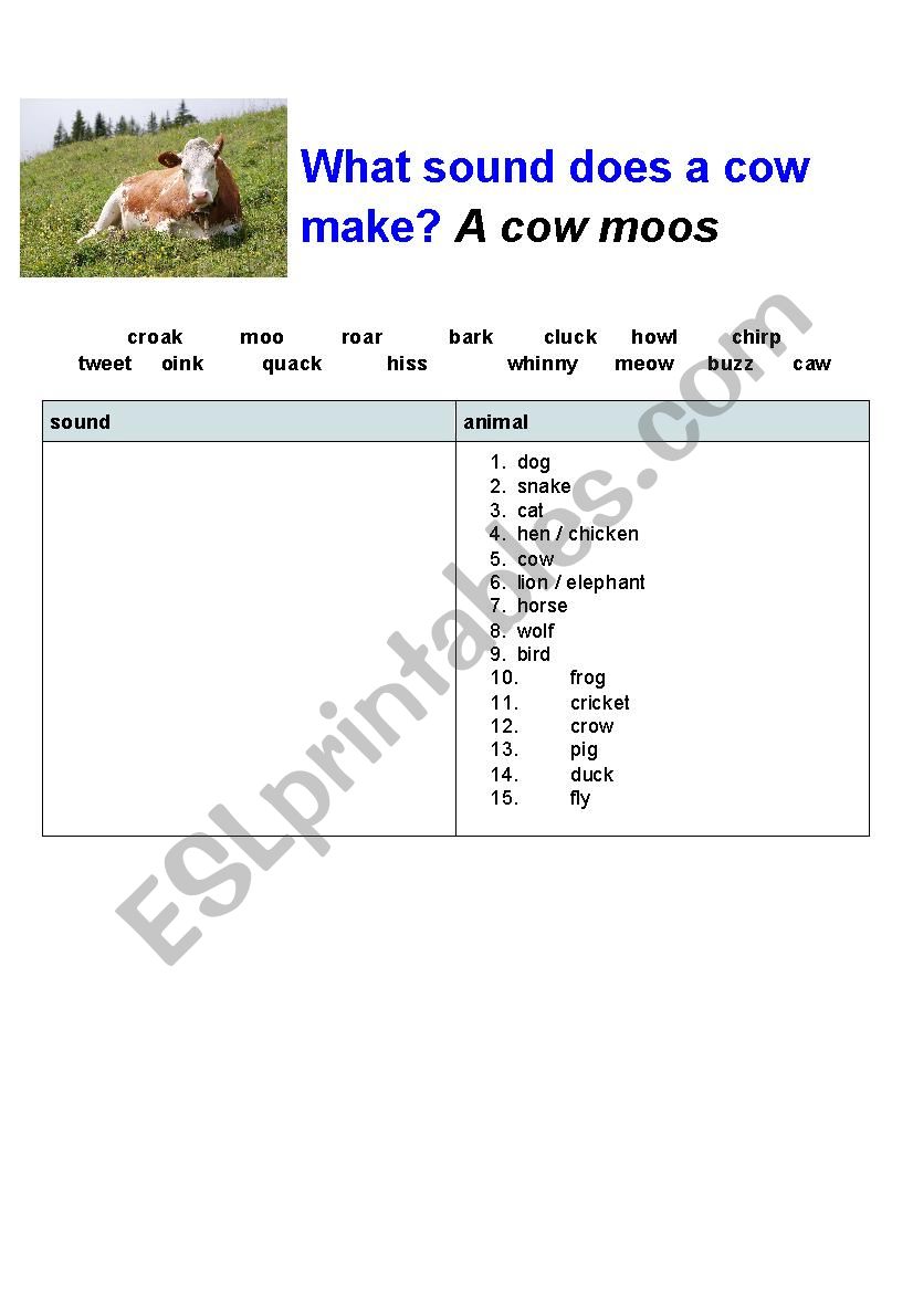 Animals sounds worksheet