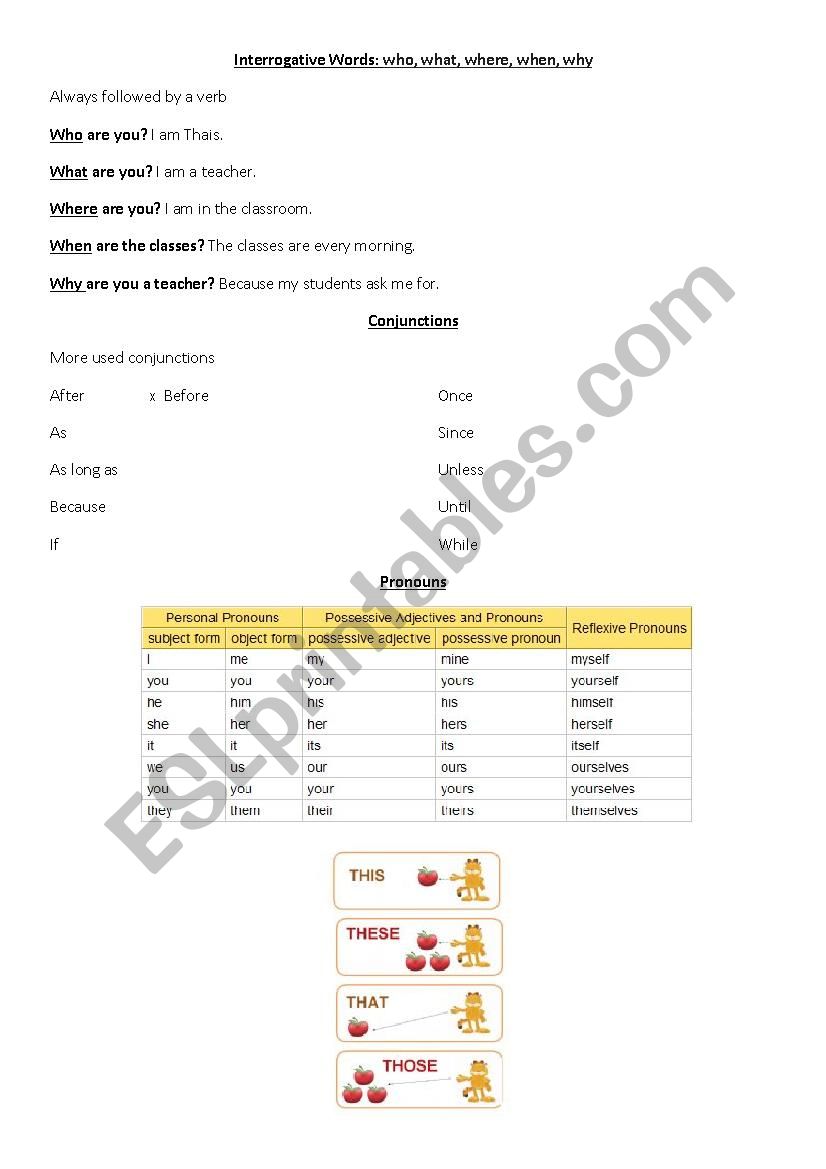 Interrogatives words worksheet
