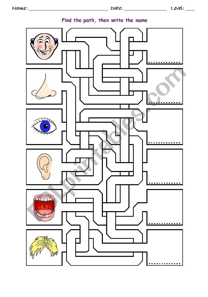 FACE MAZE worksheet