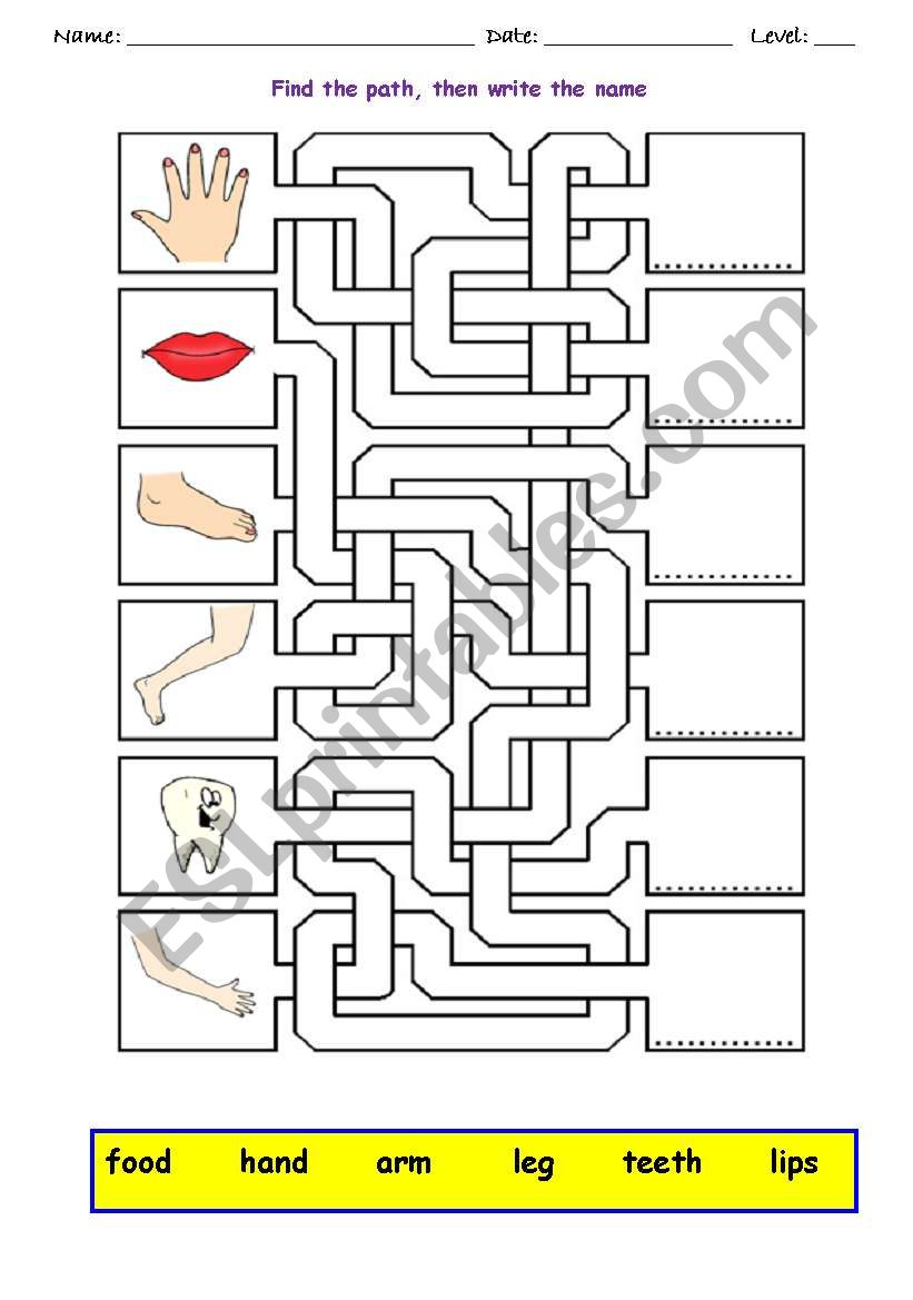 BODY MAZE worksheet