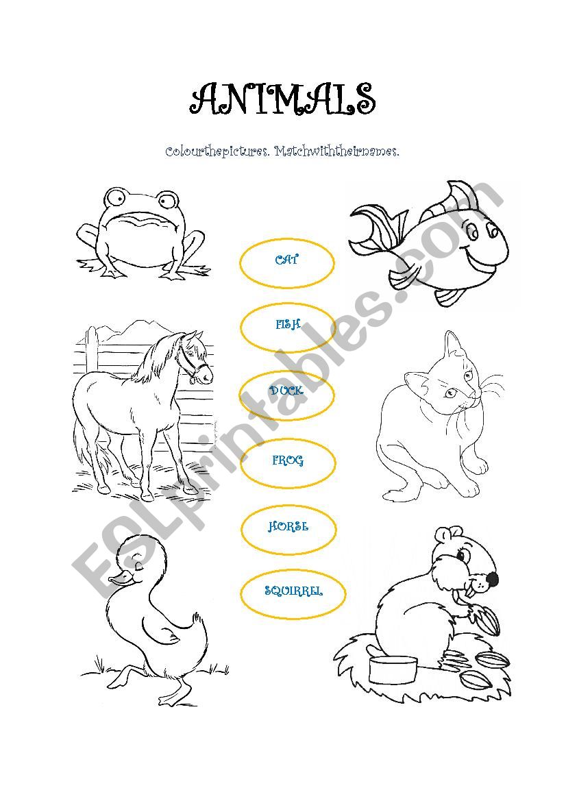 Animals worksheet