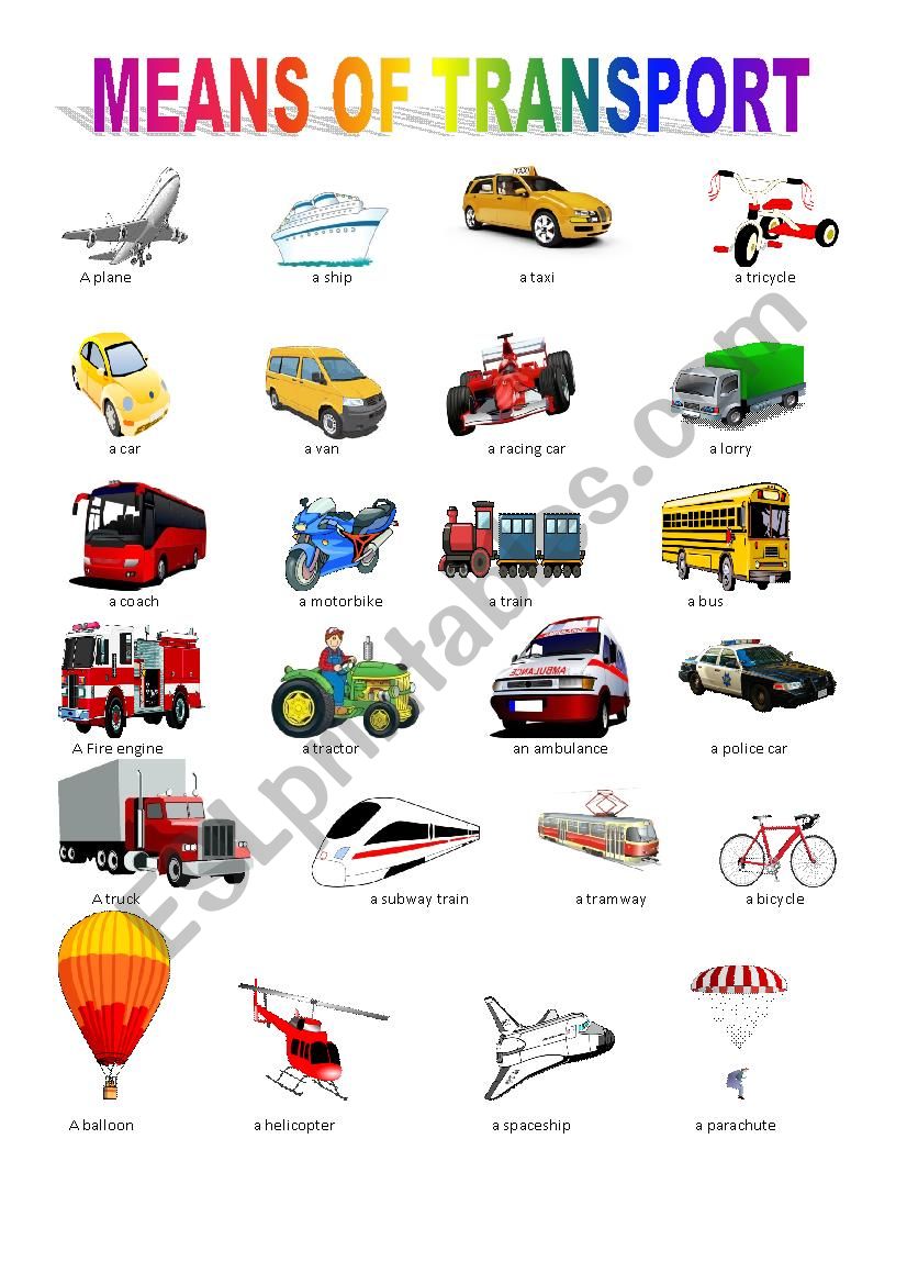 MEANS OF TRANSPORT  worksheet