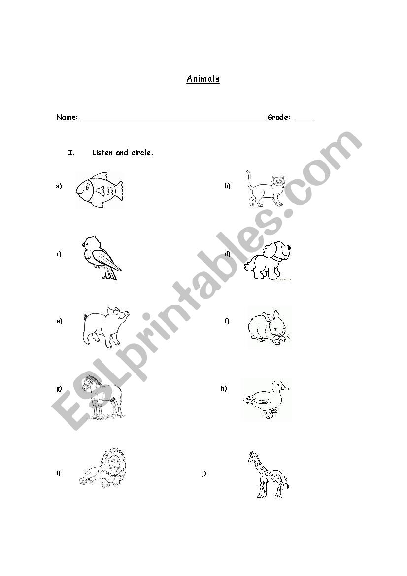Animals worksheet