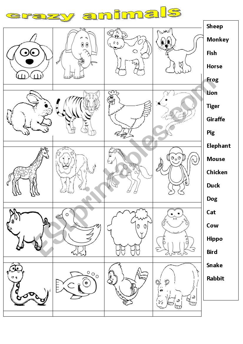  Crazy animals  worksheet