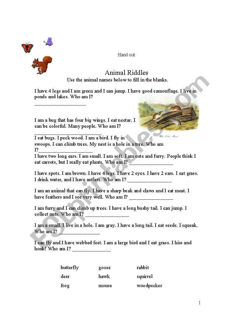 Animals worksheet