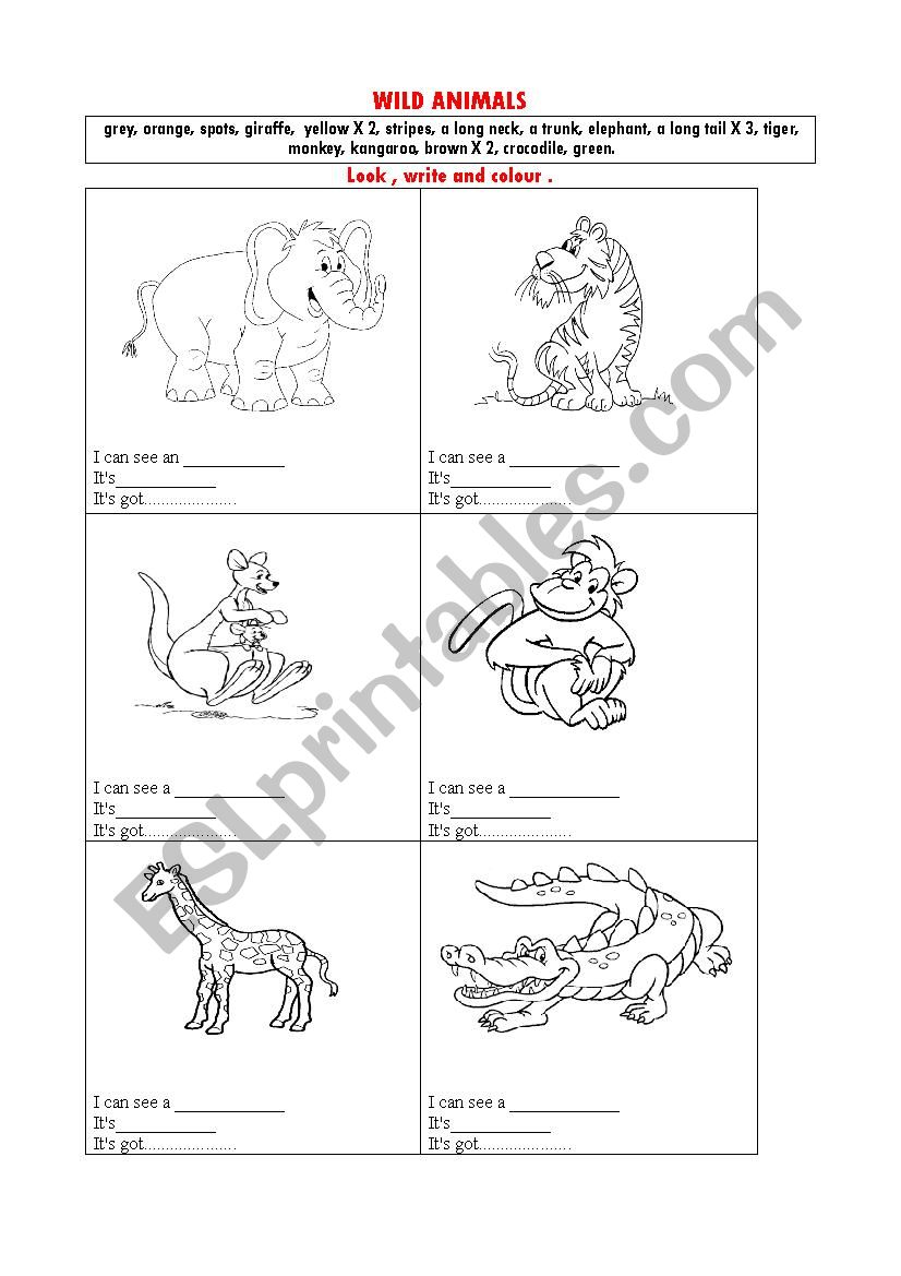 WILD ANIMALS worksheet