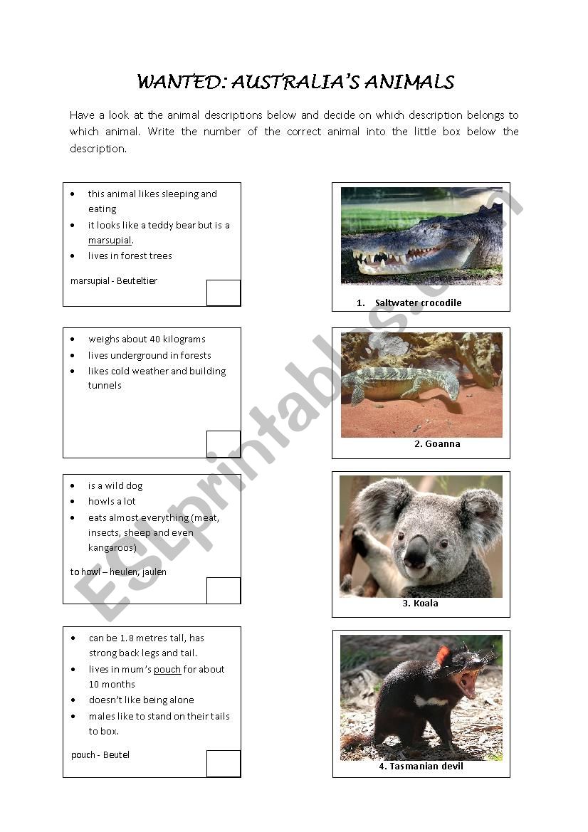 Australian animals  worksheet