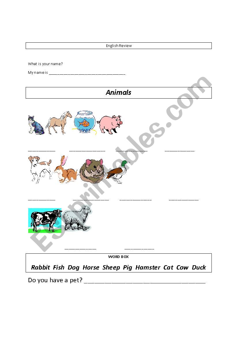 Domestic and Farm Animals worksheet