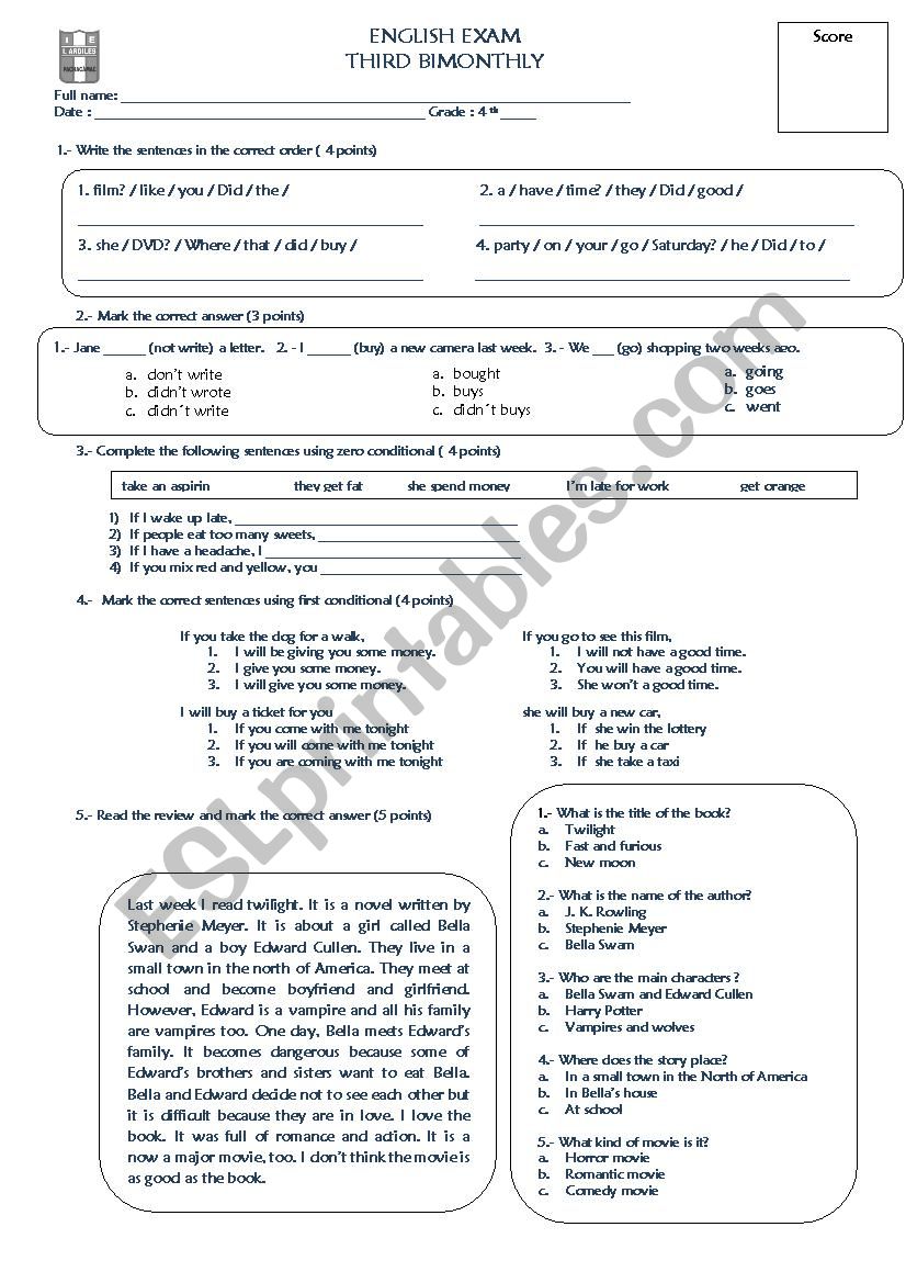 Conditional type 0 worksheet