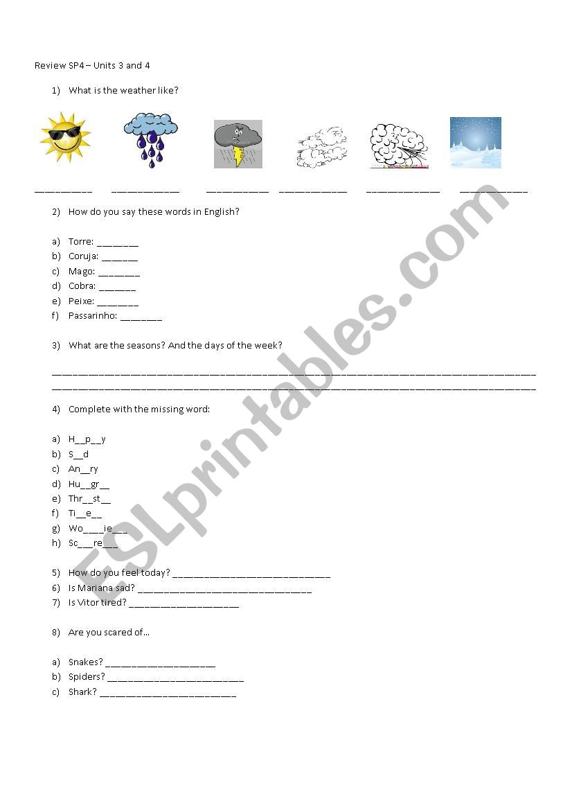 Weather / Feelings for Kids worksheet