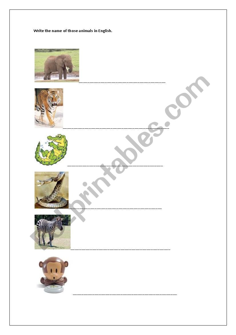 Animals in English worksheet