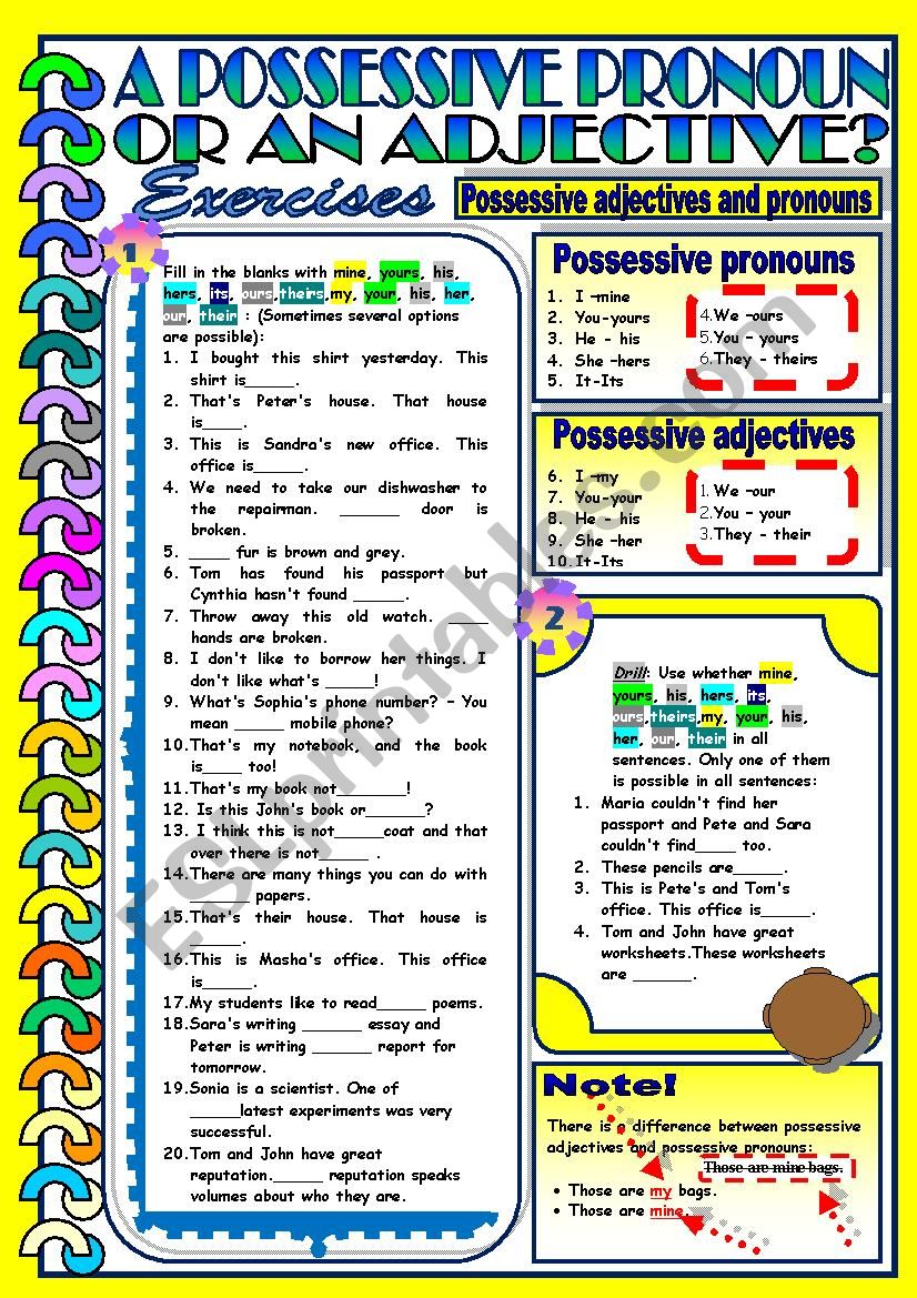 Possessive Pronouns and Adjectives