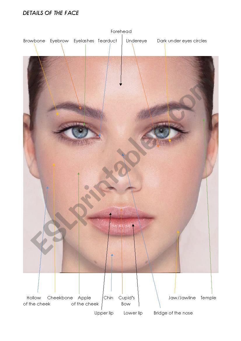 Details of the face - Makeup worksheet