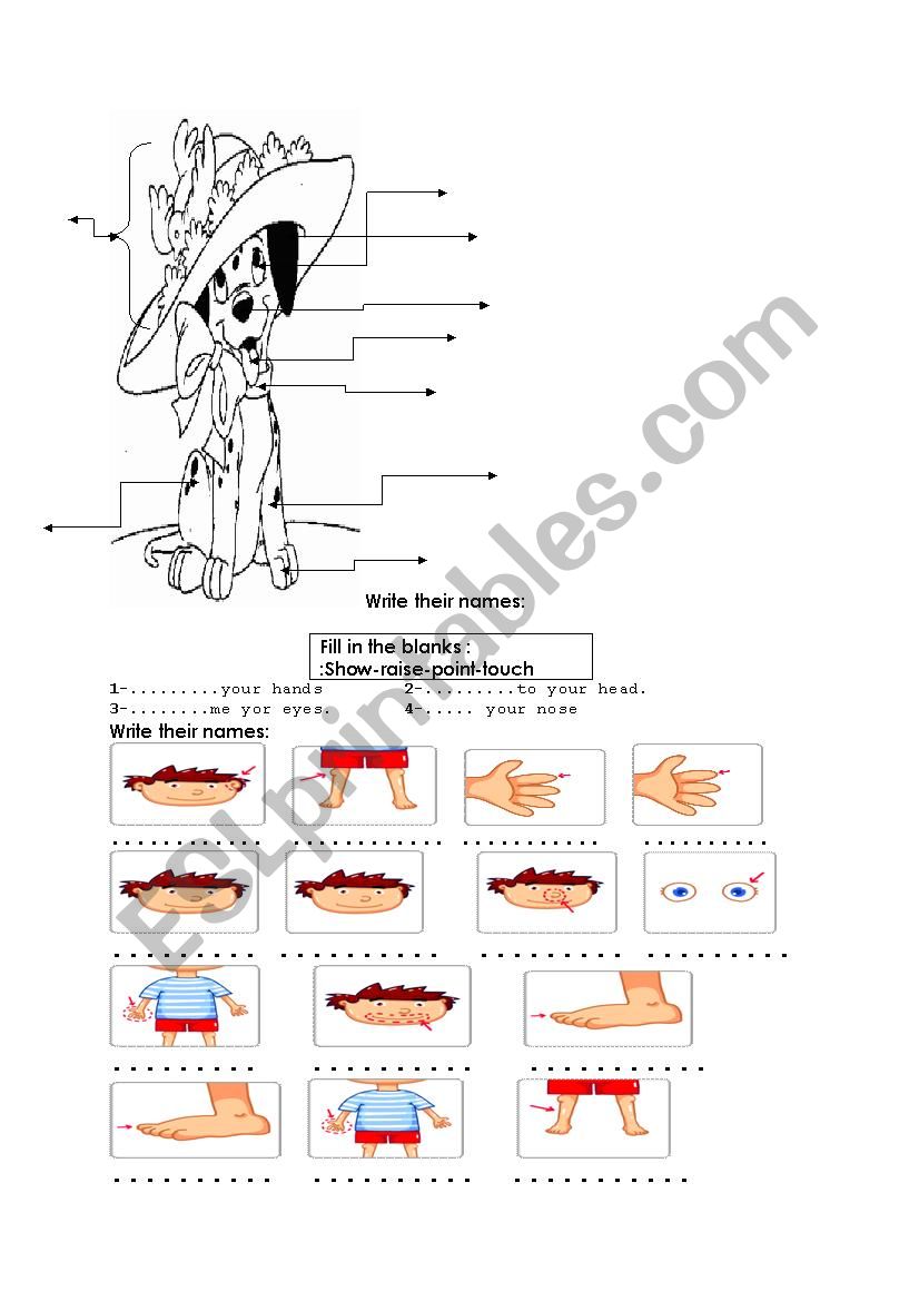 body parts worksheet