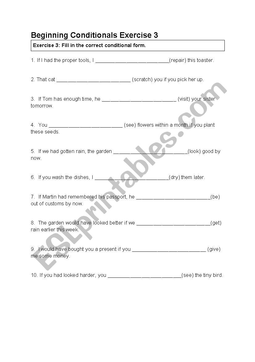 Beginning Conditionals Ex 3 worksheet