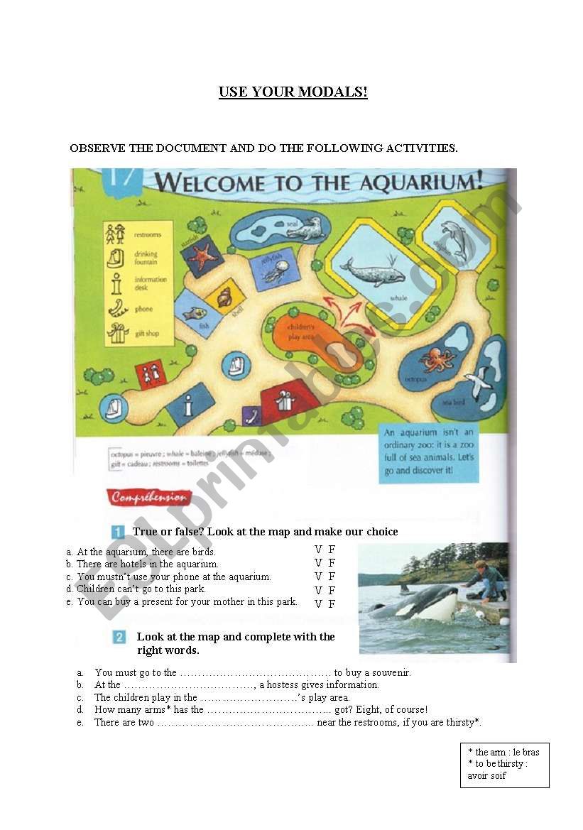 the aquarium worksheet