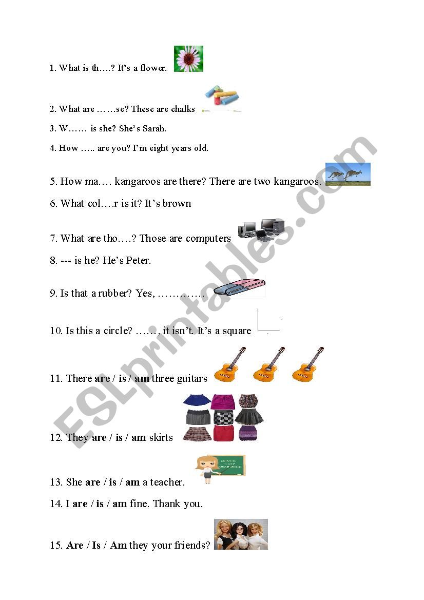 Verb tobe - question types worksheet