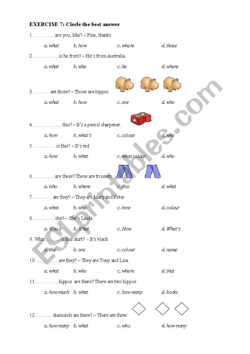 exericises on question words worksheet